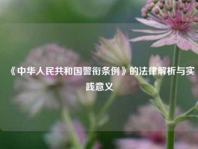 《中华人民共和国警衔条例》的法律解析与实践意义
