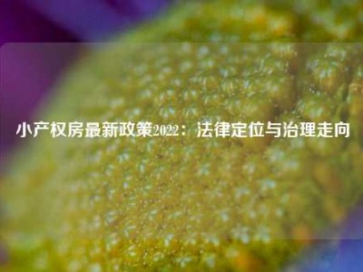 小产权房最新政策2022：法律定位与治理走向