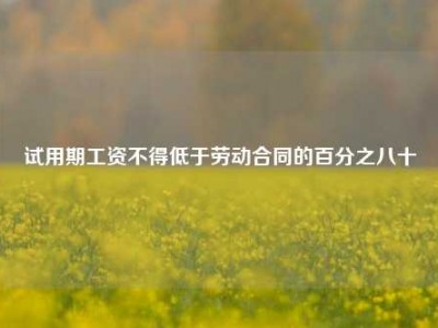 试用期工资不得低于劳动合同的百分之八十