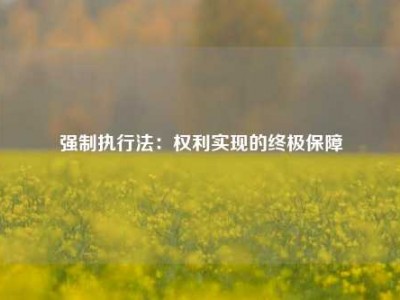 强制执行法：权利实现的终极保障