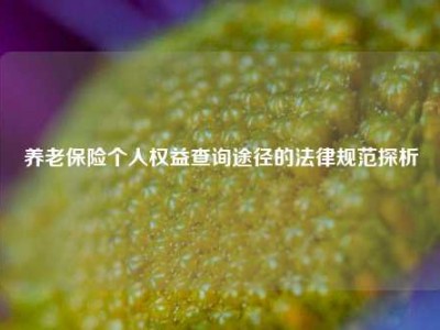 养老保险个人权益查询途径的法律规范探析