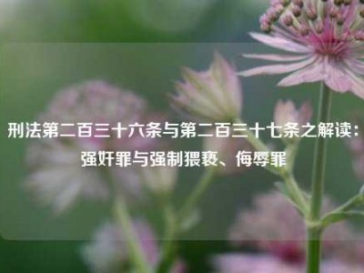 刑法第二百三十六条与第二百三十七条之解读：强奸罪与强制猥亵、侮辱罪