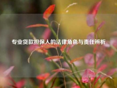 专业贷款担保人的法律角色与责任辨析