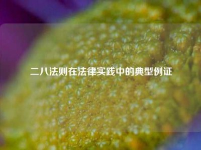 二八法则在法律实践中的典型例证