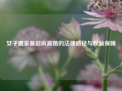 女子遭家暴起诉离婚的法律路径与权益保障