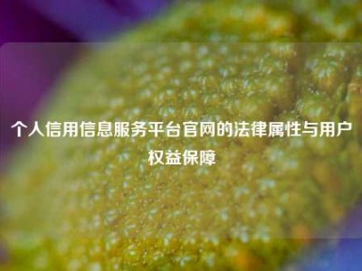 个人信用信息服务平台官网的法律属性与用户权益保障