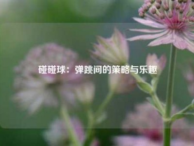 碰碰球：弹跳间的策略与乐趣