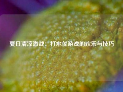 夏日清凉激战：打水仗游戏的欢乐与技巧