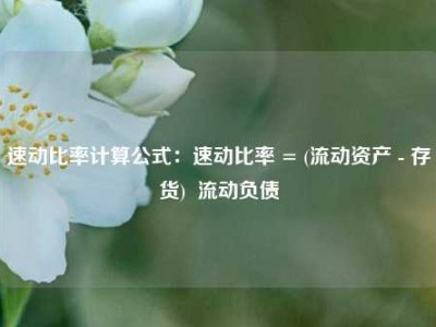 速动比率计算公式：速动比率 = (流动资产 - 存货)  流动负债