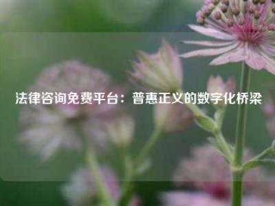 法律咨询免费平台：普惠正义的数字化桥梁