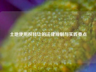 土地使用权转让的法律规制与实践要点