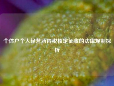 个体户个人经营所得税核定征收的法律规制探析