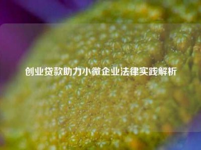 创业贷款助力小微企业法律实践解析