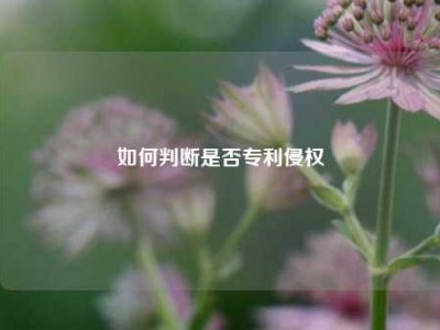 如何判断是否专利侵权