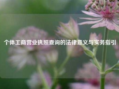 个体工商营业执照查询的法律意义与实务指引
