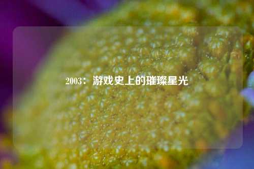 2003：游戏史上的璀璨星光