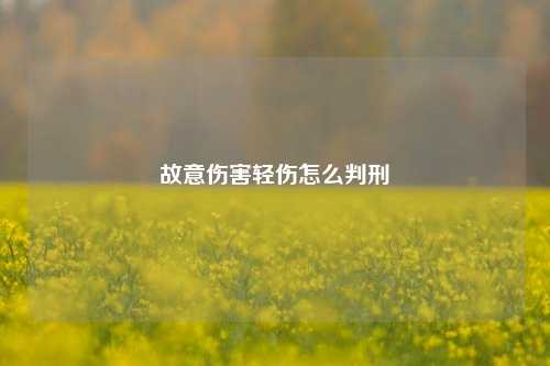故意伤害轻伤怎么判刑