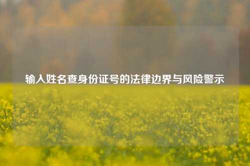 输入姓名查身份证号的法律边界与风险警示