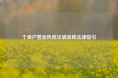 个体户营业执照注销流程法律指引