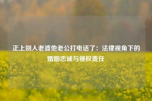 正上别人老婆他老公打电话了：法律视角下的婚姻忠诚与侵权责任