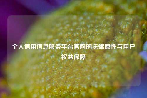 个人信用信息服务平台官网的法律属性与用户权益保障